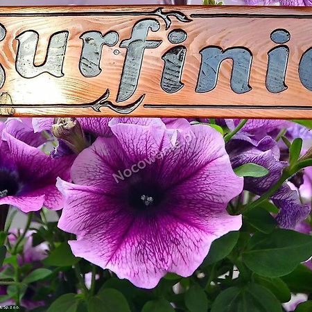 Pokoje Goscinne Surfinia Danzica Esterno foto