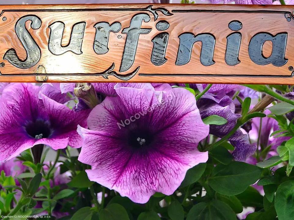 Pokoje Goscinne Surfinia Danzica Esterno foto